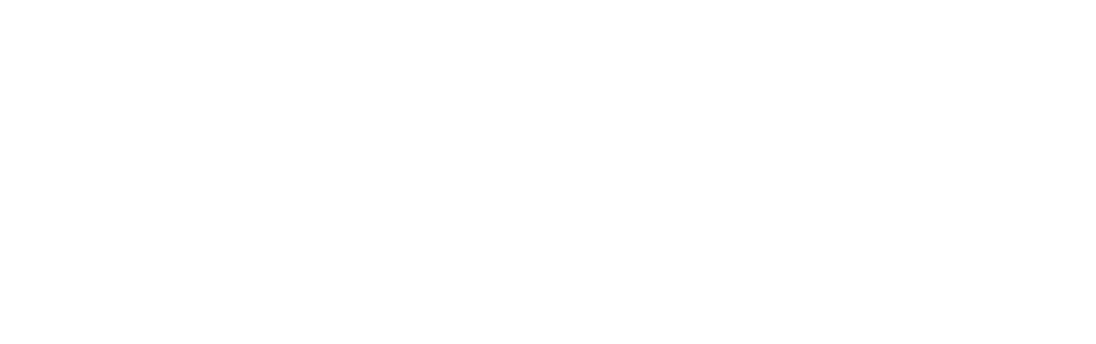 Pilsen Business network